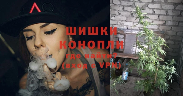 прущая мука Каменногорск