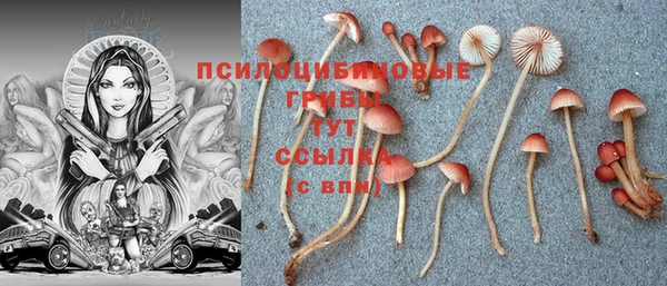 MDMA Абаза