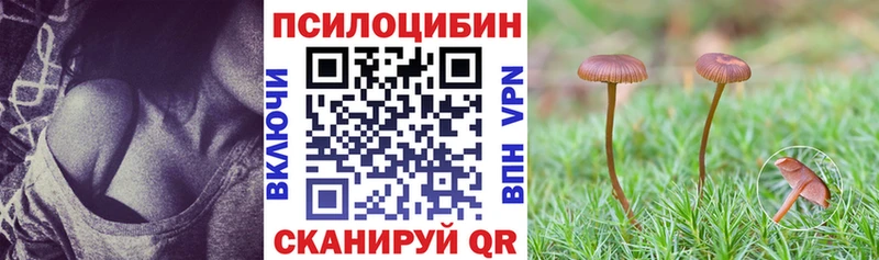 Псилоцибиновые грибы мицелий  блэк спрут зеркало  Каменск-Уральский  закладки 