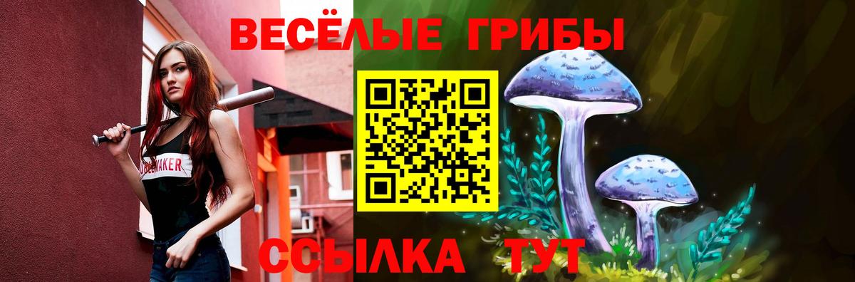 наркошоп  Галлюциногенные грибы Magic Shrooms  Вход с VPN  Каменск-Уральский 
